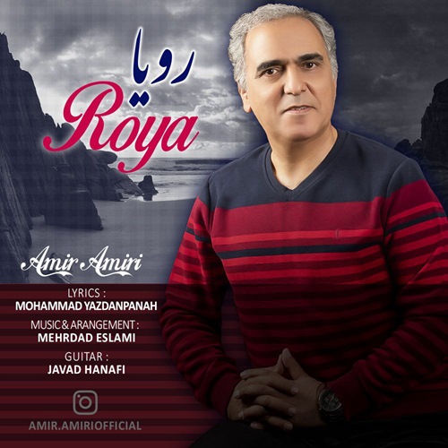 امیر امیری رویا